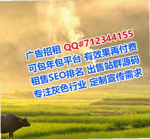 永丰代母安防工作室